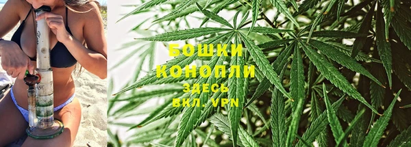 дурь Протвино