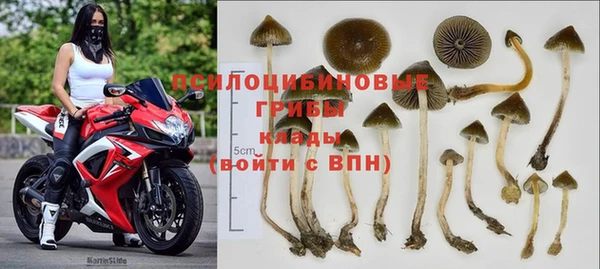 бутират Алексеевка