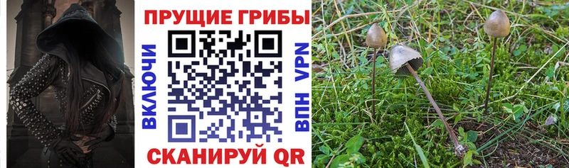 Псилоцибиновые грибы MAGIC MUSHROOMS  Муравленко 