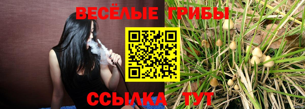 Псилоцибиновые грибы ЛСД  Псилоцибиновые грибы Psilocybe  Вход с VPN  Муравленко 