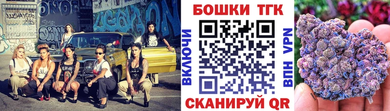 Бошки Шишки планчик  Муравленко 